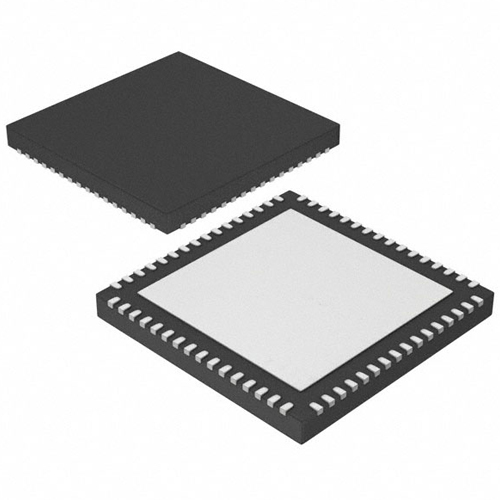 IC ad Microchip AUDIO SIGNUM PROCESSOR